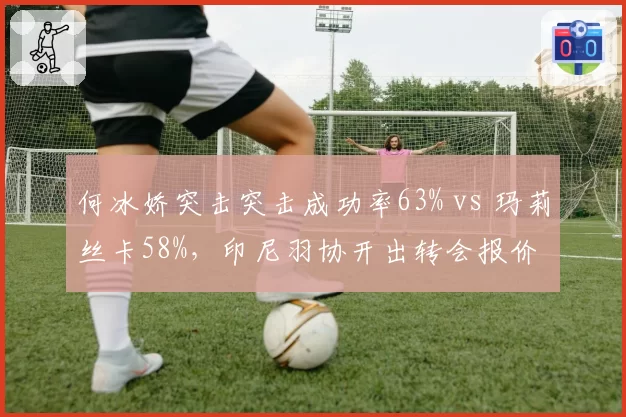 何冰娇突击突击成功率63% vs 玛莉丝卡58%,印尼羽协开出转会报价