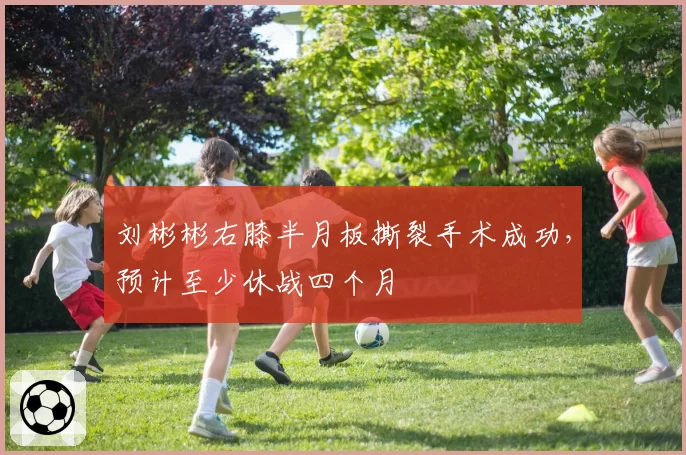 刘彬彬右膝半月板撕裂手术成功,预计至少休战四个月